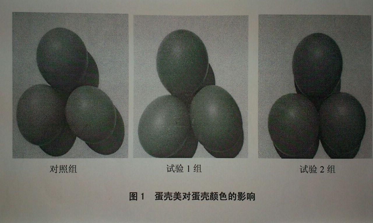 ���͵羺��VKGAME(�й���)�ٷ���վ