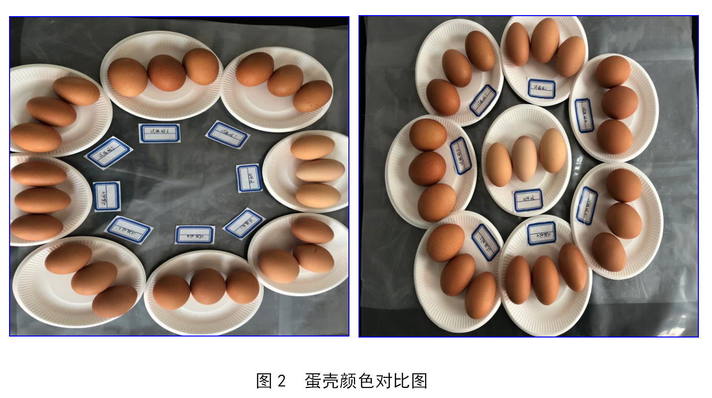 威客电竞·VKGAME(中国区)官方网站