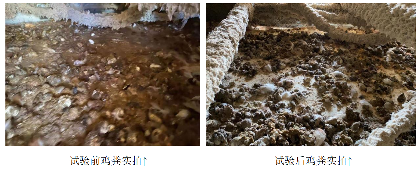 ���͵羺��VKGAME(�й���)�ٷ���վ
